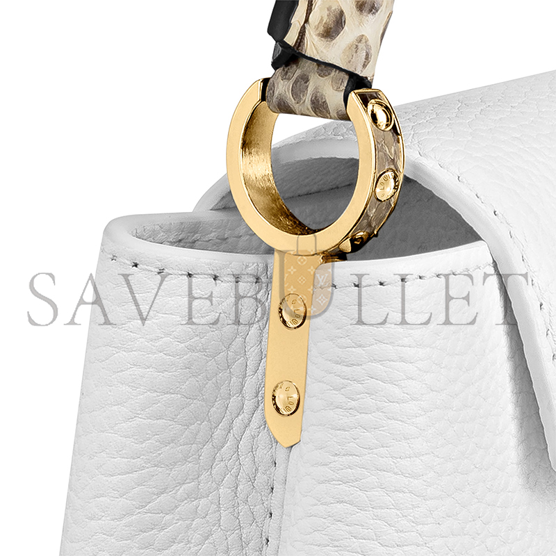 LOUIS VUITTON CAPUCINES MINI N98477 (21*14*8cm)